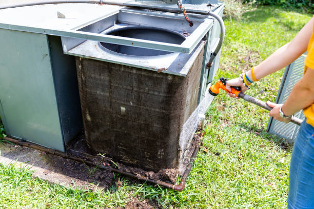 Best Duct Cleaning Specialists  in Hainesvle, IL