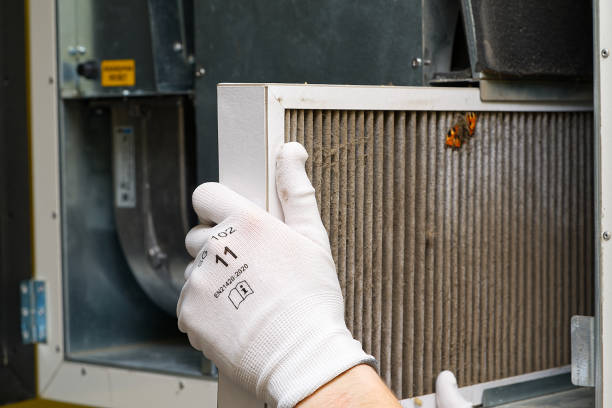 Best Air Duct Cleaning Near Me  in Hainesvle, IL