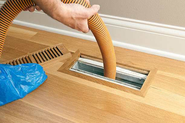 Best Air Duct Cleaning Near Me  in Hainesvle, IL
