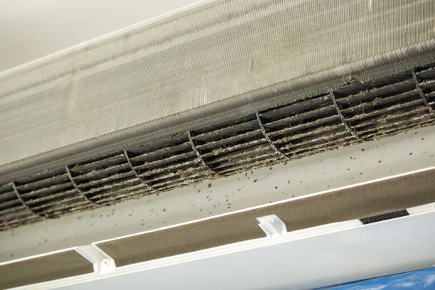 Best Affordable Duct Cleaning Services  in Hainesvle, IL