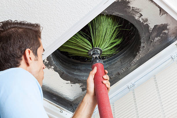 Best Air Vent Cleaning Services  in Hainesvle, IL