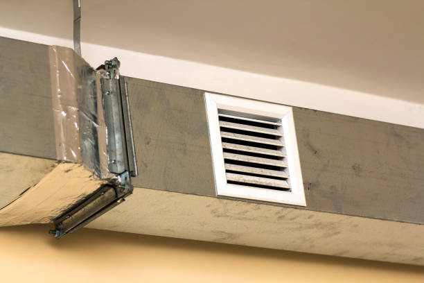 Best Commercial Air Duct Cleaning  in Hainesvle, IL